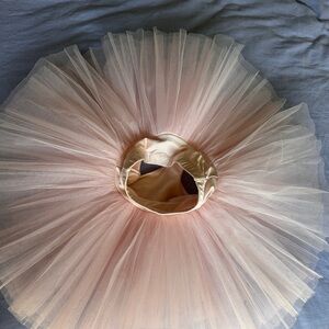 Blush Pink Ballet Tutu Skirt